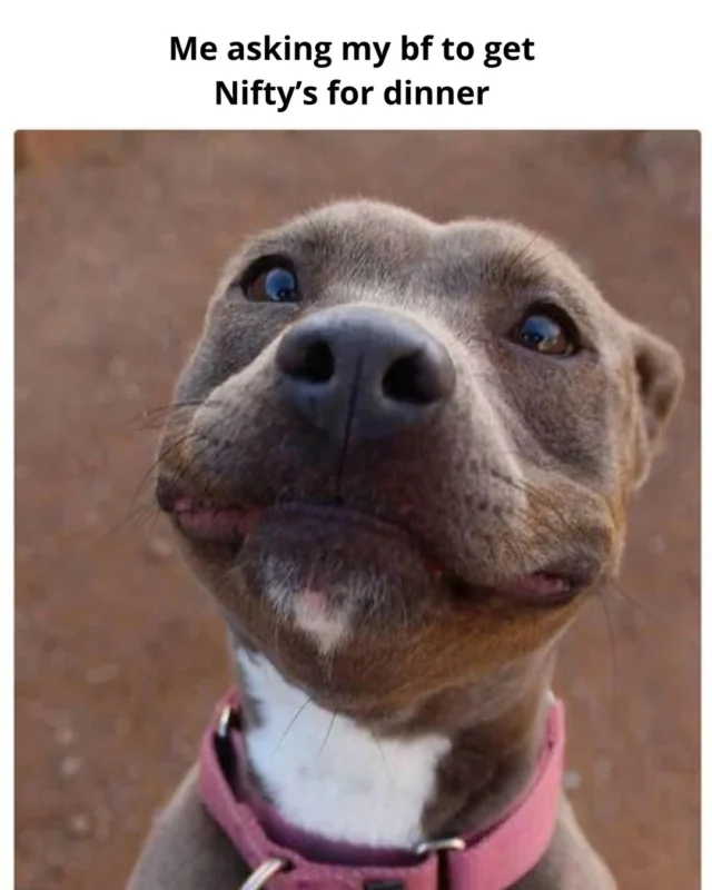 plz 🥺